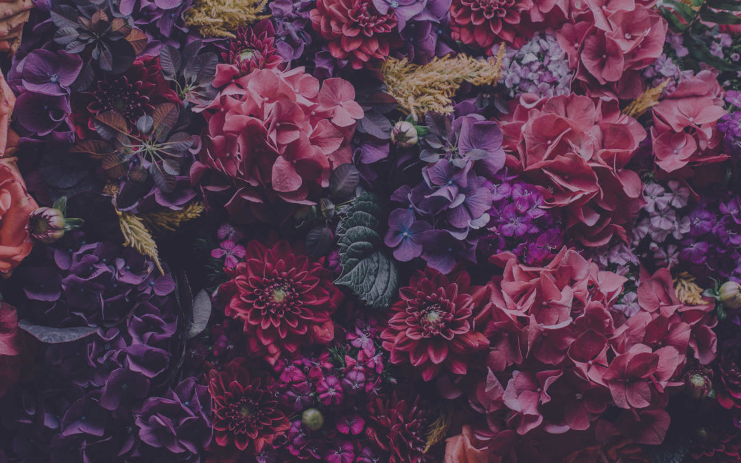 Beautiful Imagery1 min read